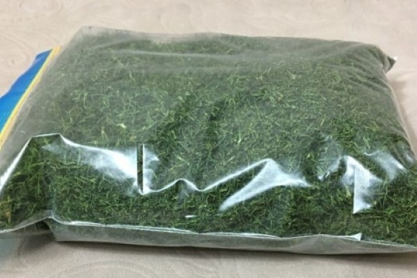 تصویر 4 از خرید و قیمت شوید خشک بسته بندی + فروش صادراتی